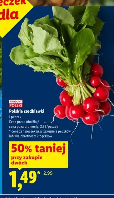 Rzodkiewki polskie