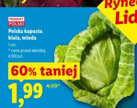 Kapusta biała młoda polska