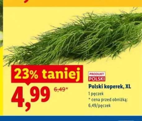 Koperek Ryneczek Lidla polski XL