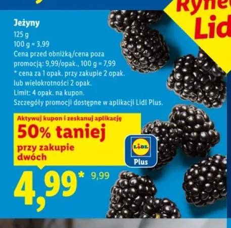 Jeżyny