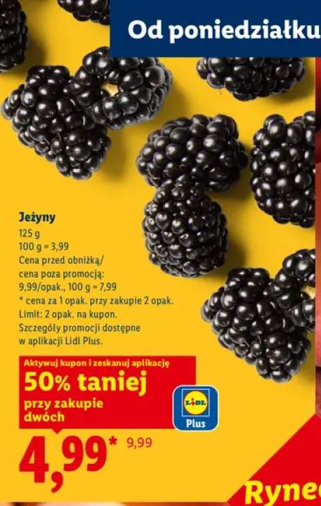 Jeżyny