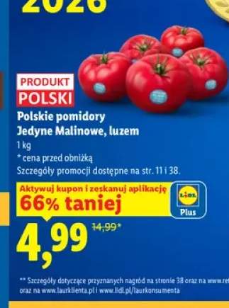 Pomidory malinowe polskie Jedyne