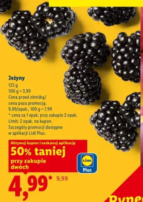 Jeżyny