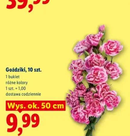 Goździki