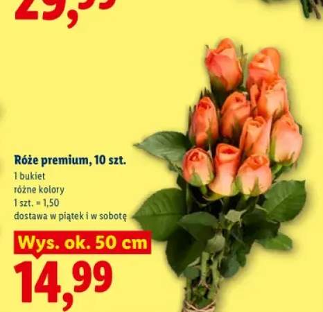 Róże premium