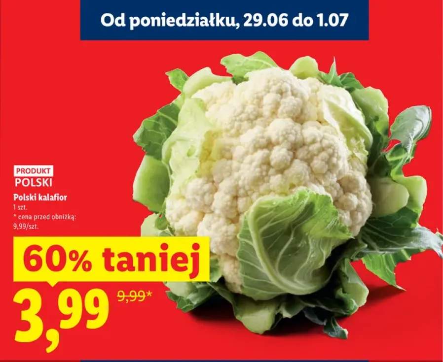 Kalafior polski