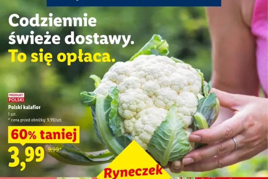 Kalafior polski
