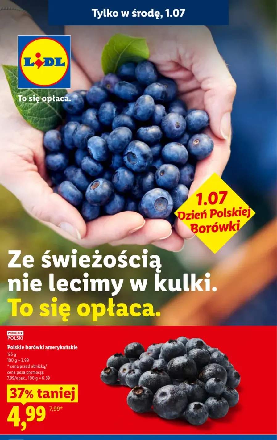 Polskie borówki amerykańskie