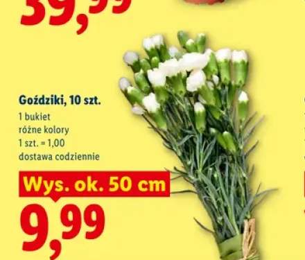 Goździki bukiet