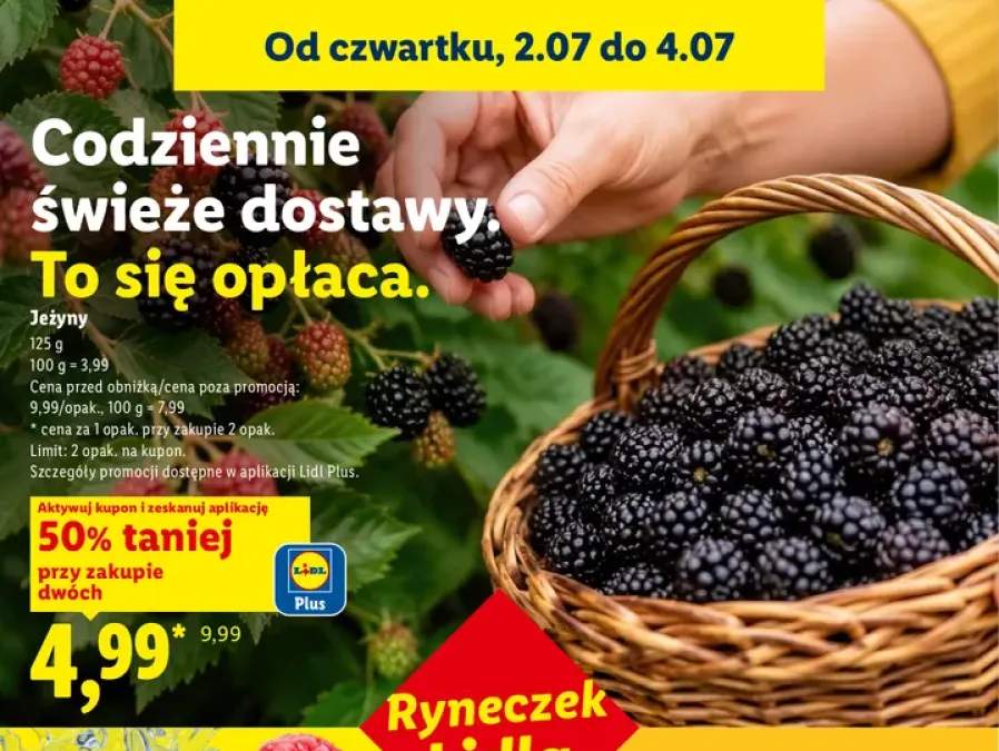 Jeżyny