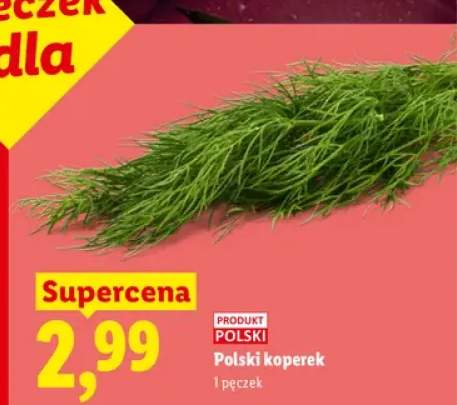 Koperek polski
