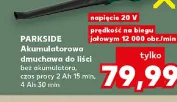 dmuchawa do liści