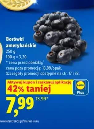 Borówki amerykańskie