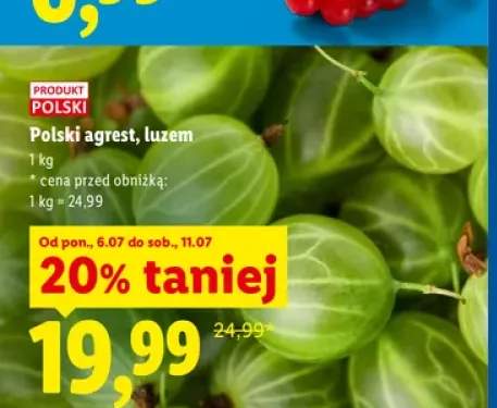Agrest polski luzem Ryneczek Lidla