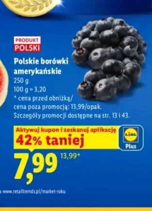 Borówki amerykańskie polskie