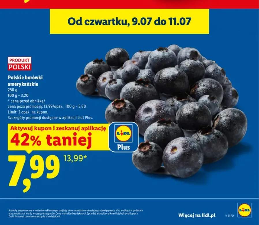 Borówki amerykańskie polskie