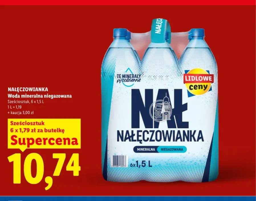 Woda mineralna niegazowana Nałęczowianka 6-pak