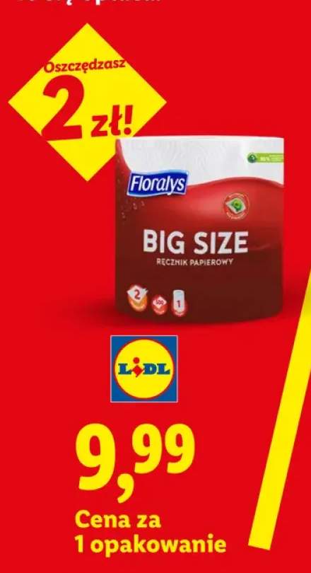 Ręcznik papierowy 2-warstwowy Floralys Big Size