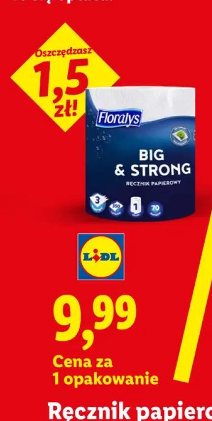 Ręcznik papierowy Floralys Big & Strong 3-warstwowy