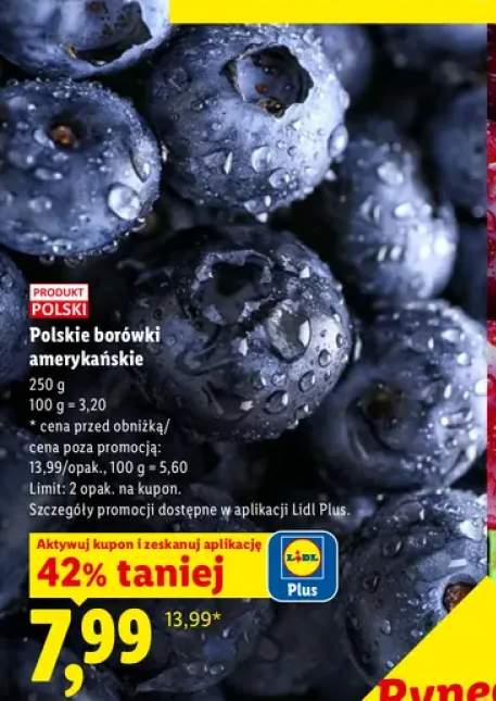 Borówki amerykańskie polskie