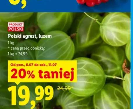 Agrest luzem polski