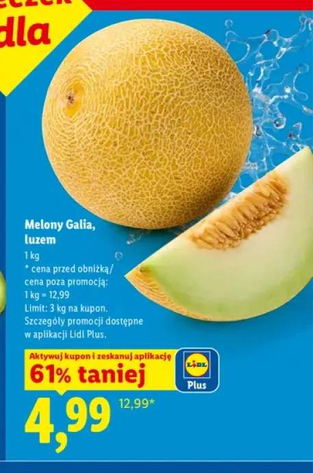 Melon Galia luzem