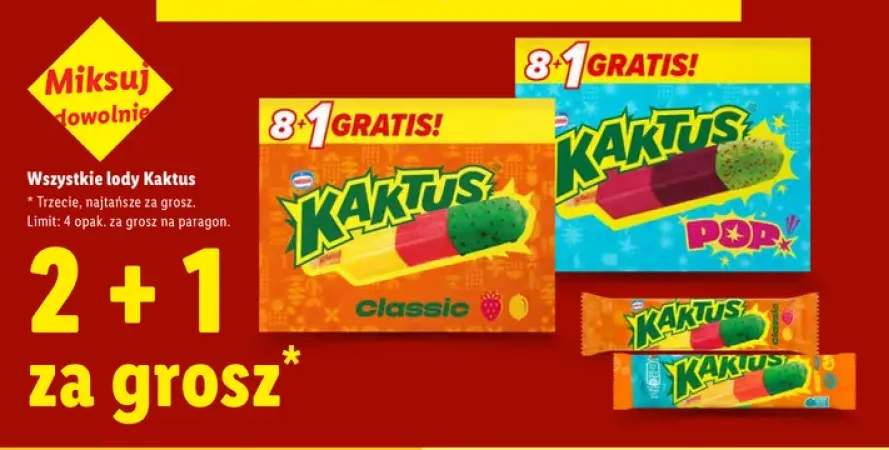 Lody Kaktus +3 warianty