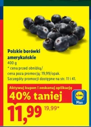 Borówki amerykańskie polskie