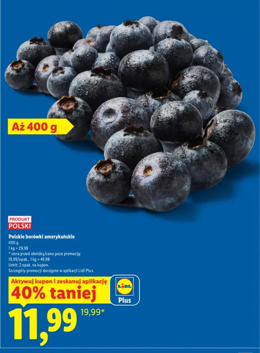 Borówki amerykańskie polskie