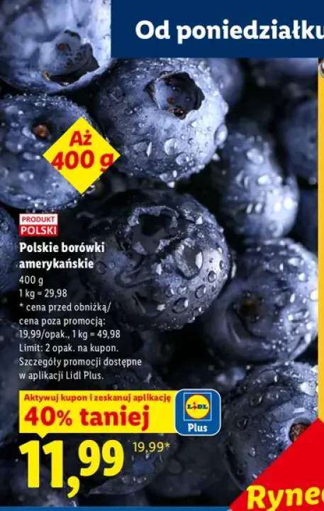 Polskie borówki amerykańskie +1 wariant