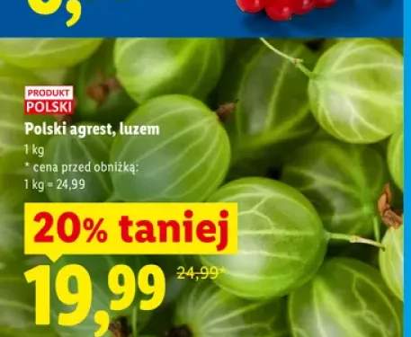 Polski agrest luzem +1 wariant