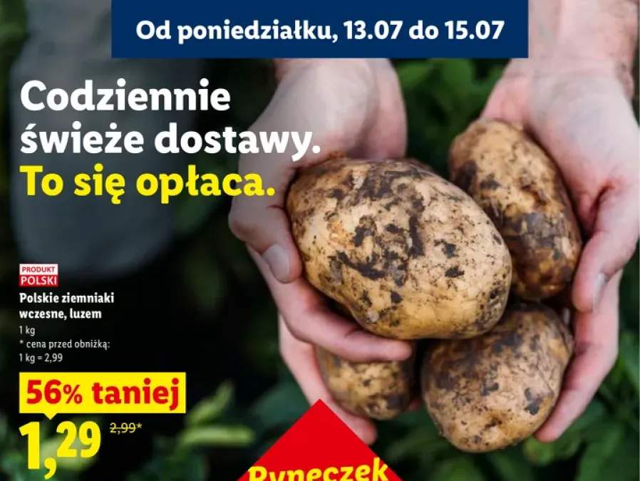Ziemniaki wczesne polskie