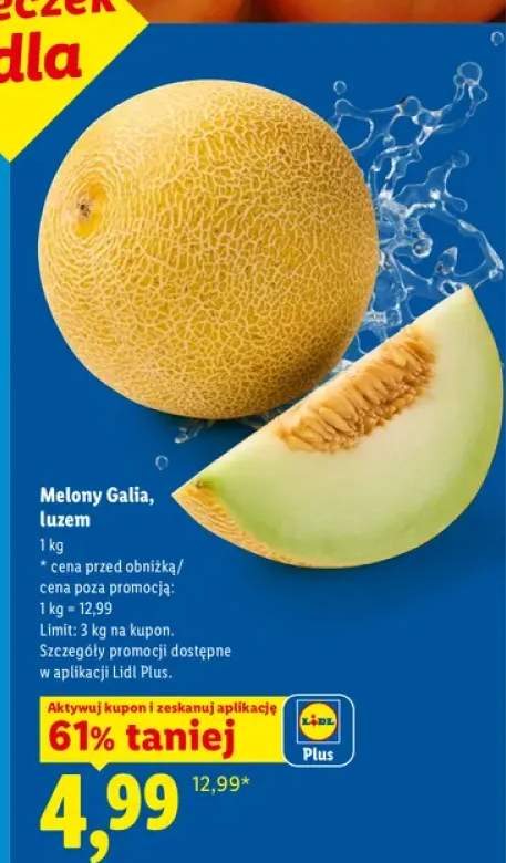 Melon Galia luzem Ryneczek Lidla