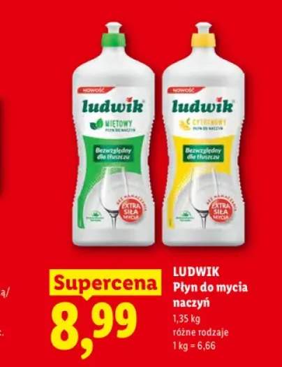 Płyn do mycia naczyń miętowy Ludwik