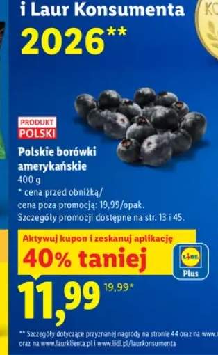 Borówki amerykańskie polskie