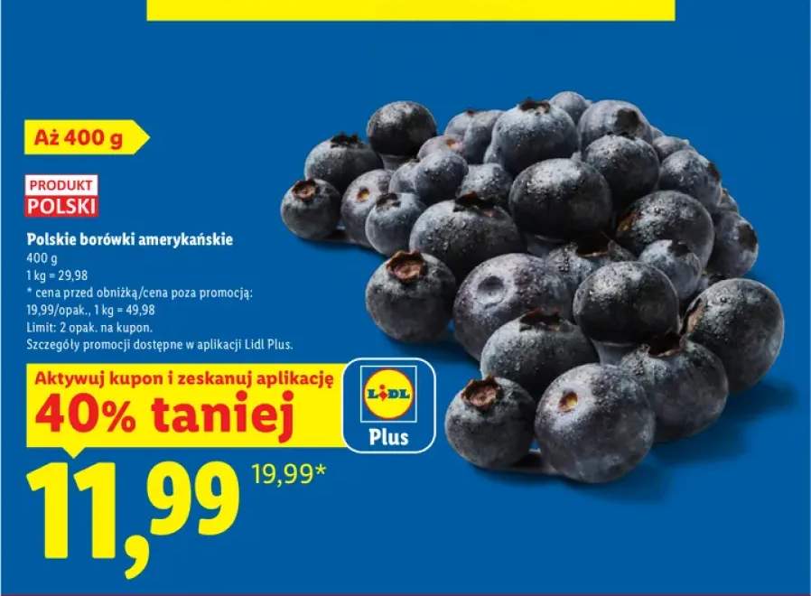 Borówki amerykańskie polskie