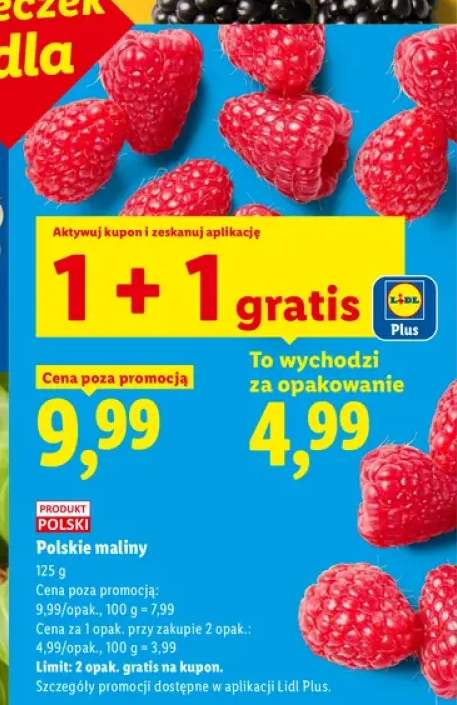 Polskie maliny Ryneczek Lidla