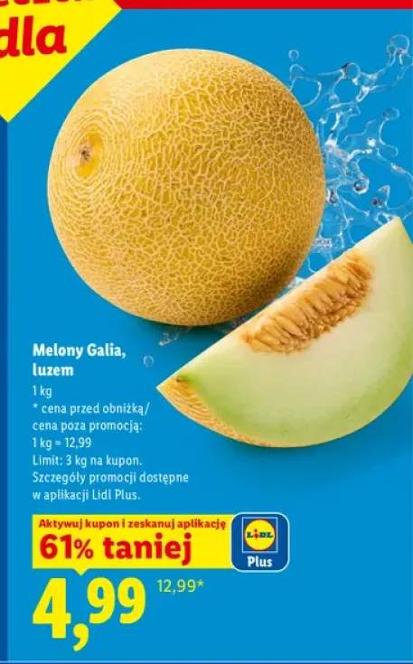 Melon Galia luzem