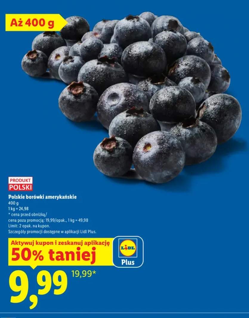 Borówki amerykańskie polskie