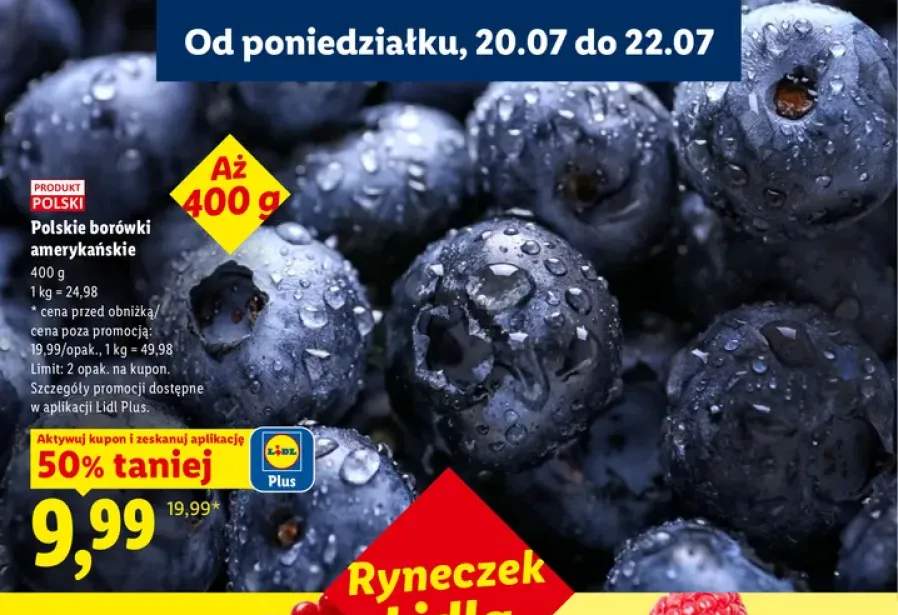 Borówki amerykańskie polskie