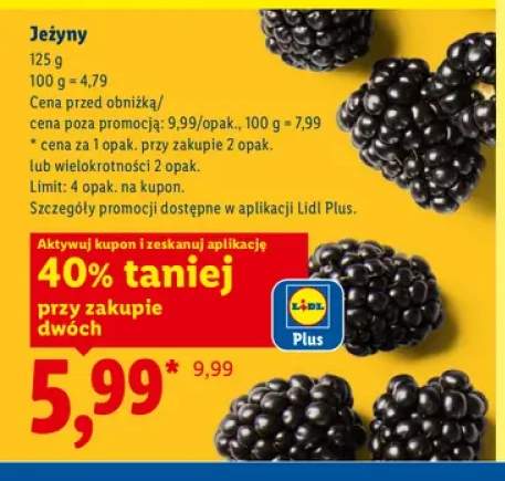 Jeżyny