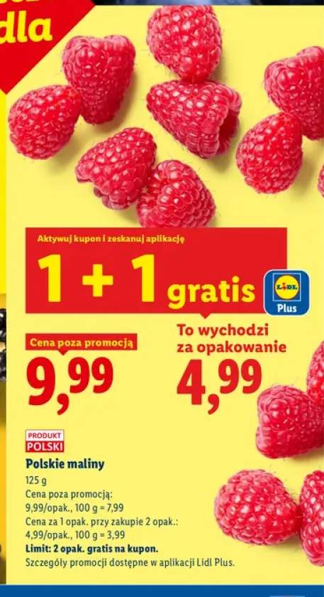 Maliny polskie