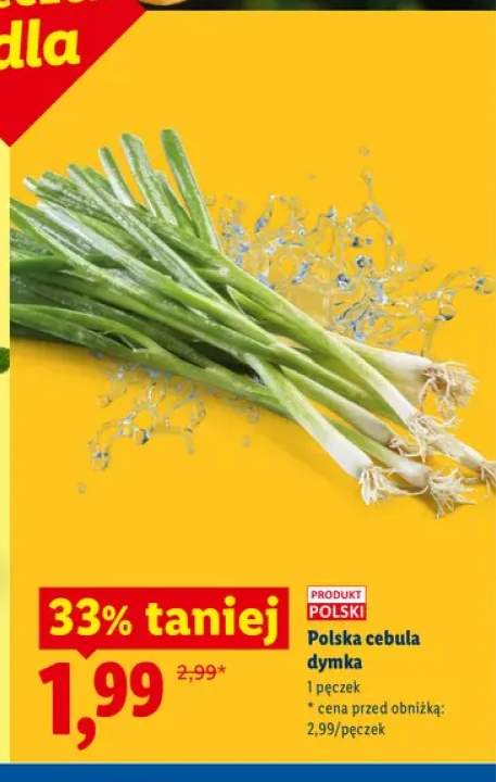 Cebula dymka polska