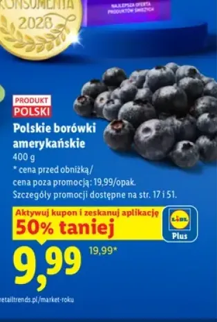 Borówki amerykańskie polskie