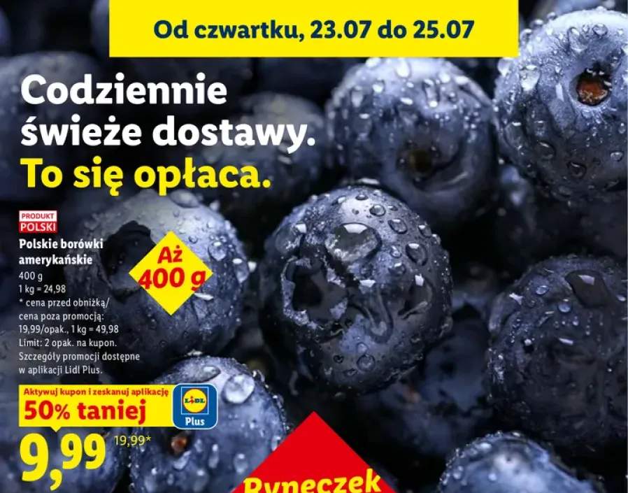 Polskie borówki amerykańskie