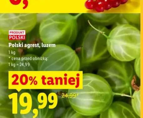 Polski agrest luzem