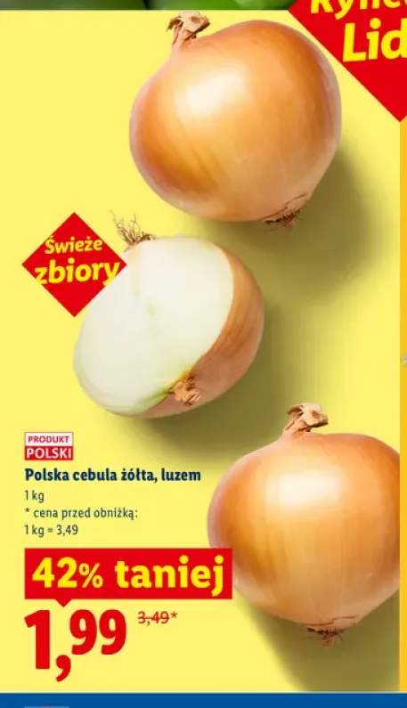 Cebula żółta polska luzem Ryneczek Lidla