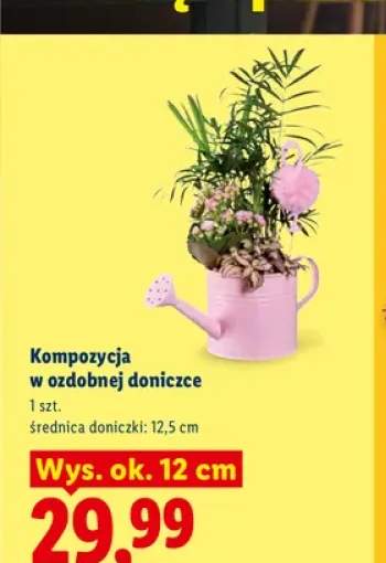 Kompozycja w ozdobnej doniczce