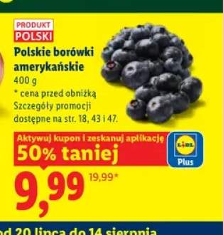 Borówki amerykańskie polskie
