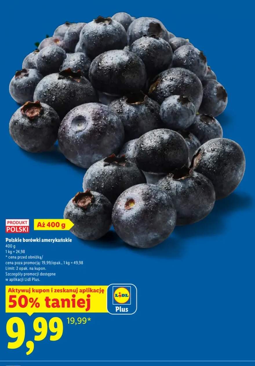Borówki amerykańskie polskie
